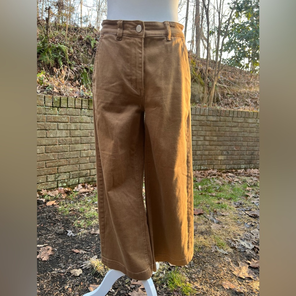 Everlane crop pants in camel size 6